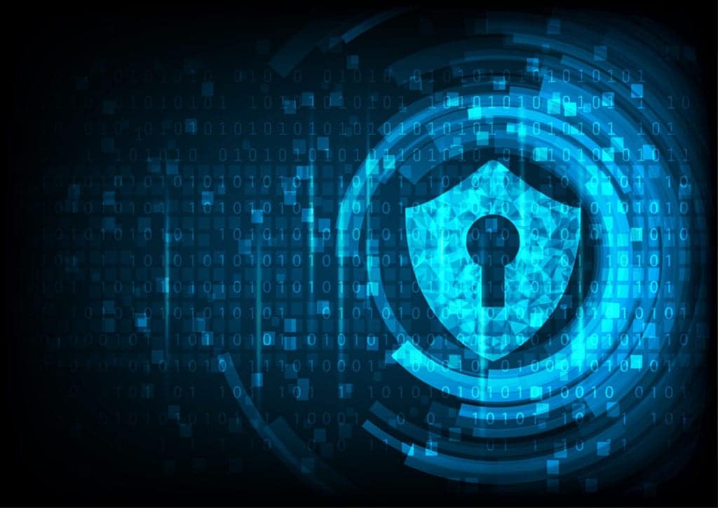 Vulnerability Assessment & Testing